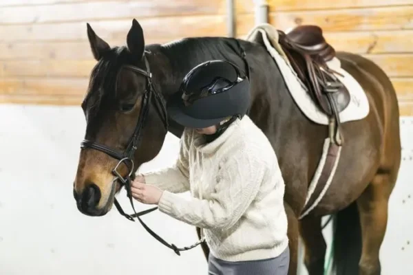 Guía Completa para Convertirte en un Cuidador de Caballos Exitoso - Blog