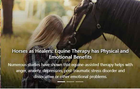 Terapia con Caballos para la Ansiedad: Beneficios y Resultados Comprobados - Blog