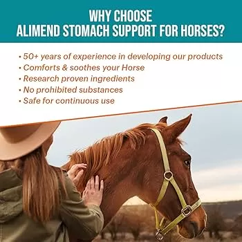 Juguetes para caballos: Mejores opciones y beneficios para el bienestar emocional de tu caballo - Cuidados del caballo