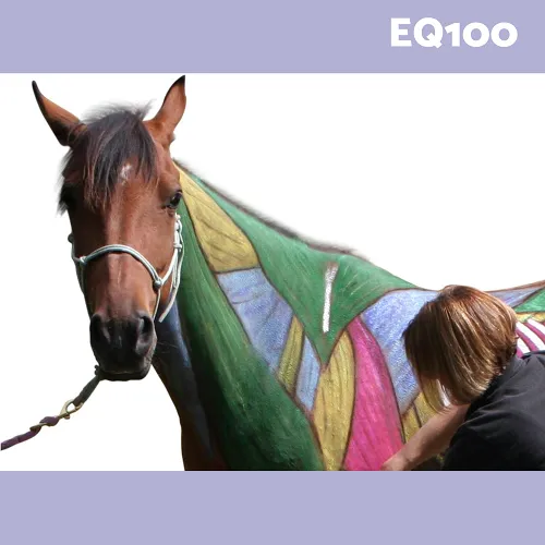 Guía Completa para Convertirte en un Cuidador de Caballos Exitoso - Blog