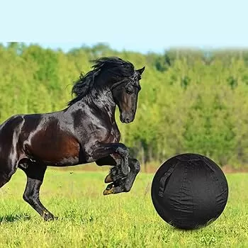 Juguetes para caballos: Mejores opciones y beneficios para el bienestar emocional de tu caballo - Cuidados del caballo