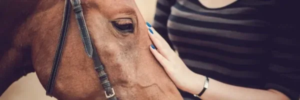 Terapia con Caballos para la Ansiedad: Beneficios y Resultados Comprobados - Blog