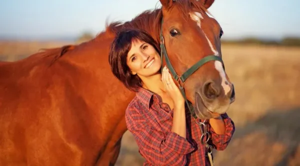Todo lo que Necesitas Saber sobre el Seguro de Responsabilidad Civil para Caballos - Blog